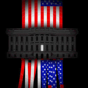 Brian Stauffer - Administration, American Flag, Animation, Conceptual, Corporate, Cultural, Democracy, Digital, Editorial, Election, Freedom, Freedom of Speech, Government, Graphic, Law, Liberty, Lifestyle, Narrative, Policy, Politics, Pop Culture, Power, President, Protest, White House