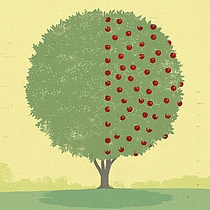 Richard Mia - Apple, Division, Education, Inequality, Poor, Poverty, Rich, School, Tree