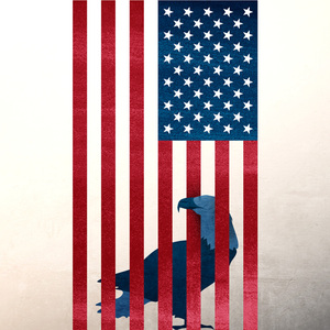 Agent Illustrateur - America, American Eagle, American Flag, Cage, Citizen, Corporate, Election, Freedom, Justice, Legal, Politics, Power, Prison, Prisoner, Punishment