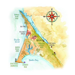 Simone Tieber - Environmental, Infographics, Line & Wash, Line with Color, Maps, Maps/Charts, Travel, Vacation, Watercolor, Wildlife