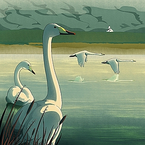 Sara Gironi Carnevale - Animals, Books, Digital, Editorial, Graphic, Landscape, Line with Color, Nature, People, Realistic