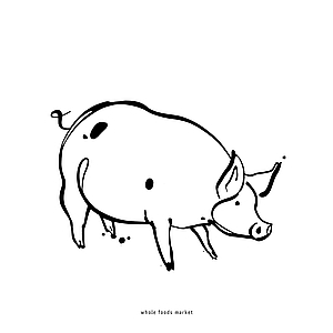 Nicole Kaufman - Agriculture, Animals, Black & White, Brush and Ink, Food, Food/Beverage, Health, Line, Nature, Nutrition, Pen & Ink