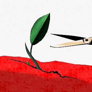 Michael Morgenstern - Budget, Budgeting, Business, Cut, Cutbacks, Cutting Costs, Economy, Environmental, Growth, Leaf, Plant, Scissors