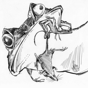 Richard Ewing - Animals, Anthropomorphic, Black & White, Children's Book, Cross Hatch, Humorous/Comic, Nature, Pen & Ink, Satirical, Sci-Fi, Wildlife